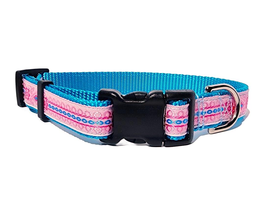 3/4" Collars & Leashes
