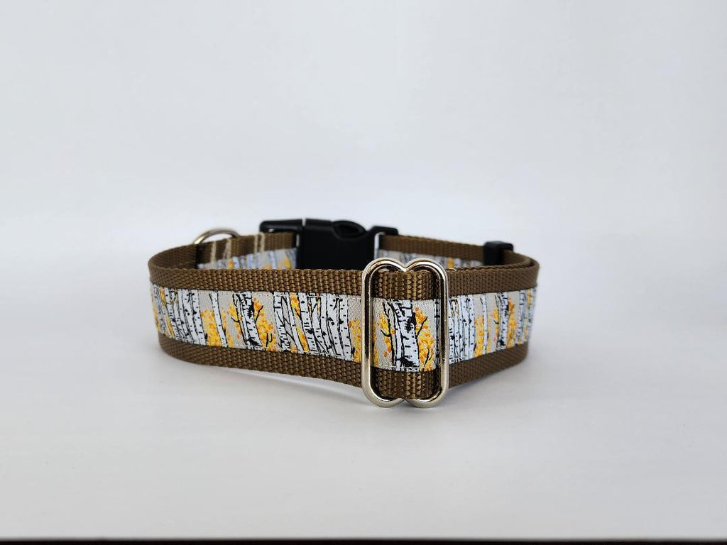1.5" Aspen Tree Dog Collar image 3