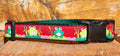 3/4" Frog Spring Dog Collar, Leash, Martingale, or Harness image 1
