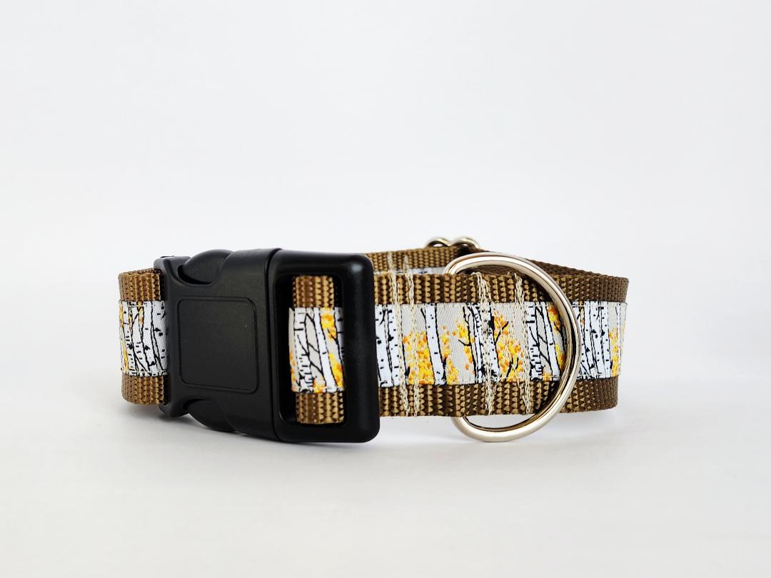 1.5" Aspen Tree Dog Collar image 1