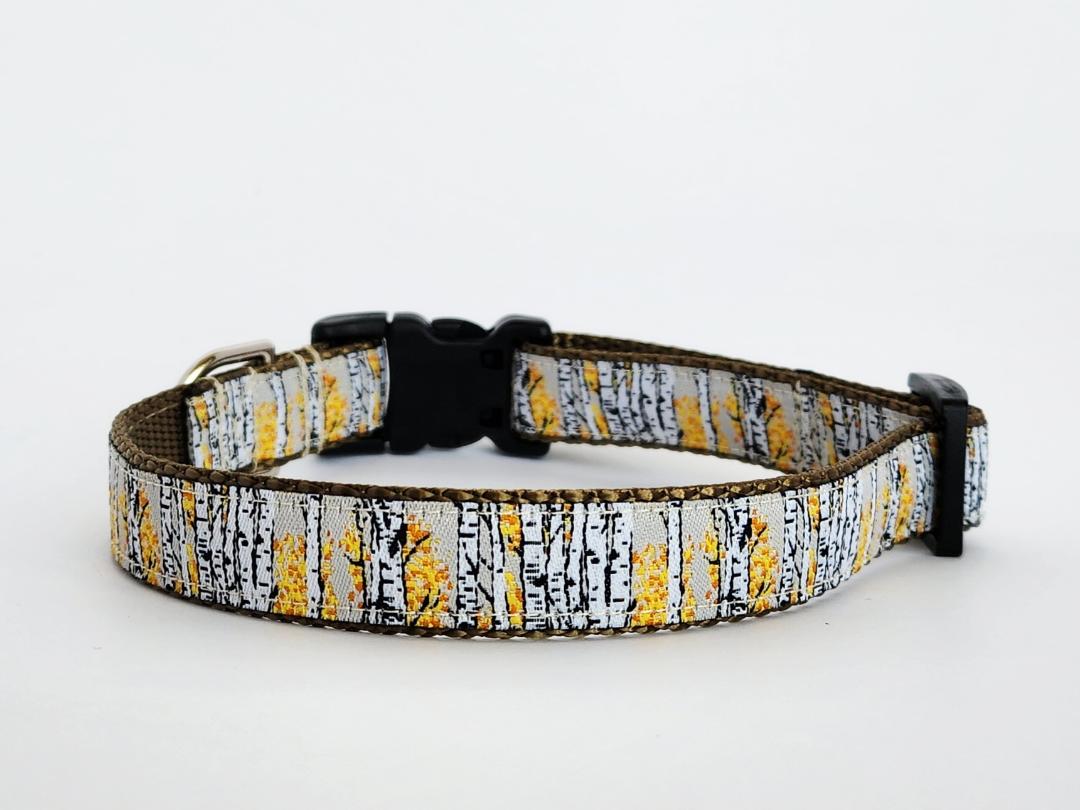 3/4" Aspen Tree Dog Collar image 4