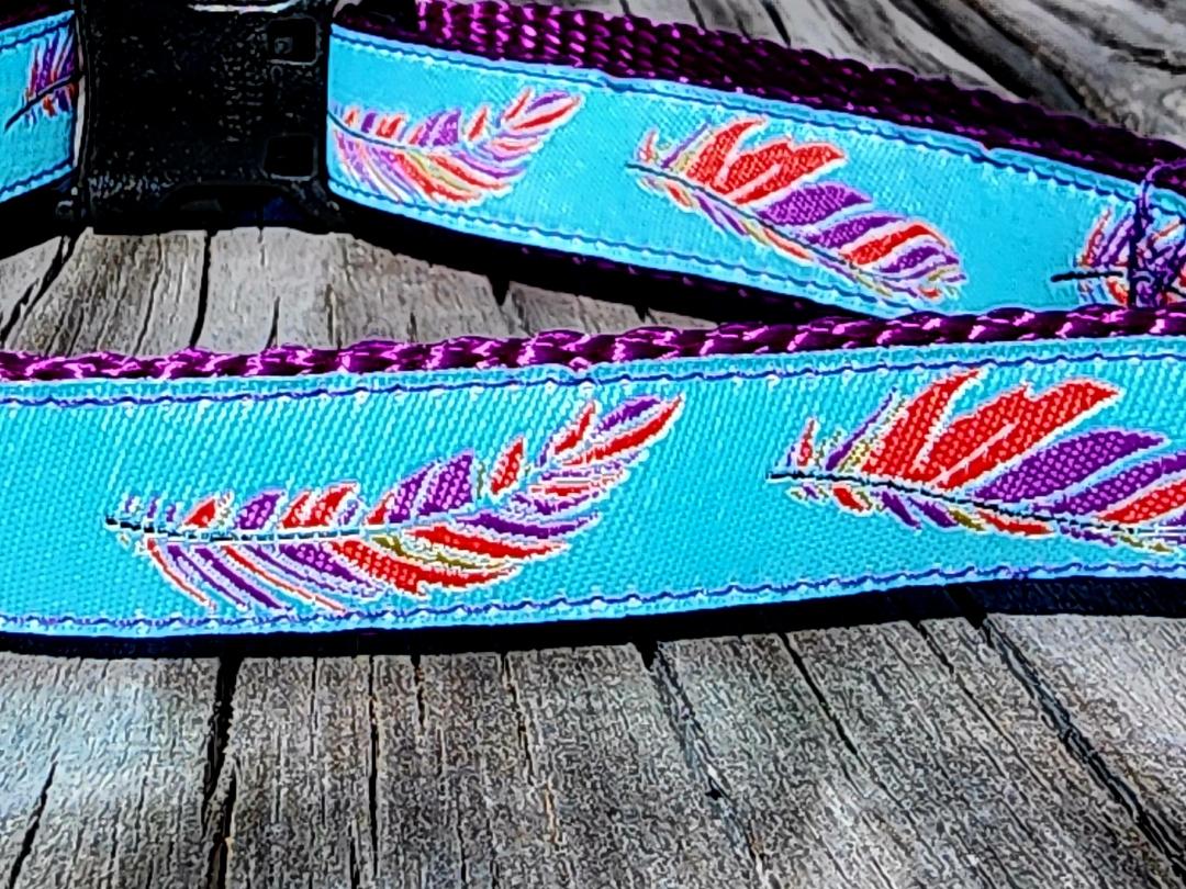 3/4" Southwest Feather Dog Collar, Leash, or Martingale image 2