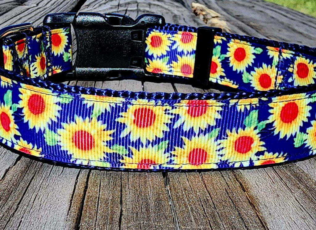 1" Sunflower Dog Collar or Leash image 4