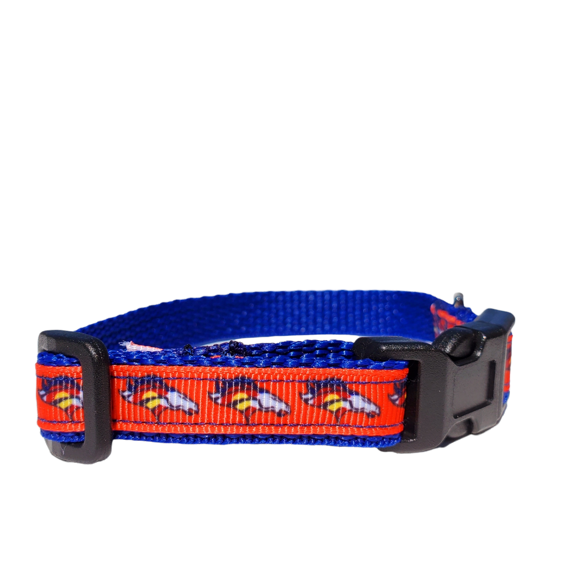 1/2" Denver Broncos Dog Collar, Leash, or Harness image 2