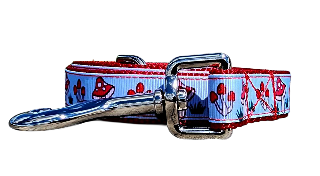 3/4" Mushroom Dog Collar or Leash