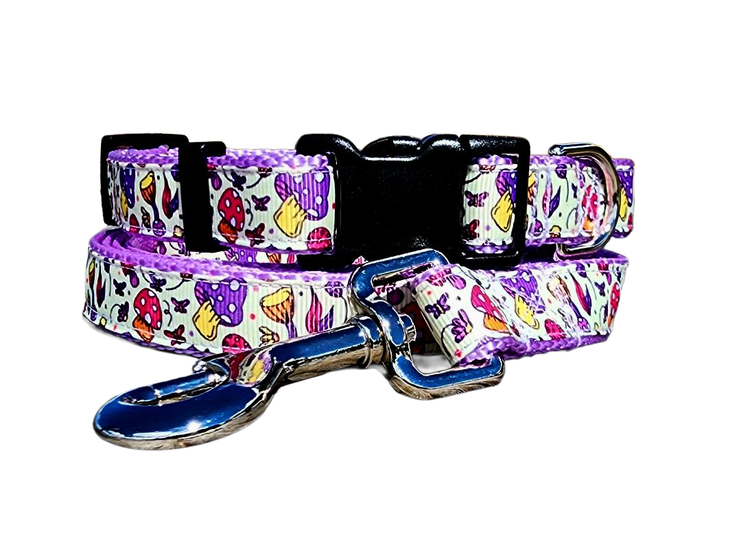 3/4" Purple Mushroom Dog Collar or Leash