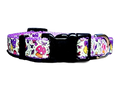 3/4" Purple Mushroom Dog Collar or Leash