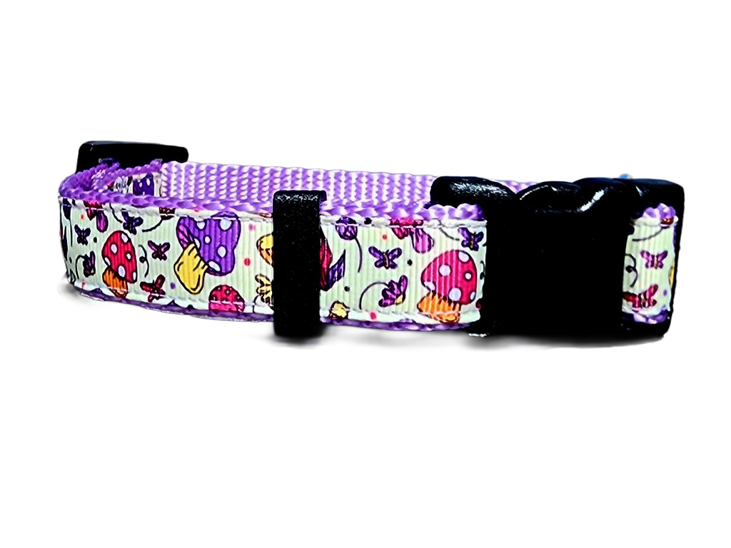 3/4" Purple Mushroom Dog Collar or Leash