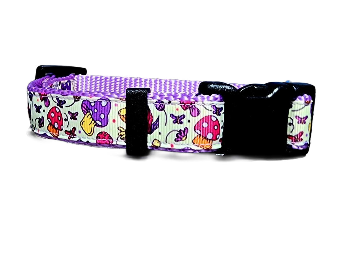 3/4" Purple Mushroom Dog Collar or Leash
