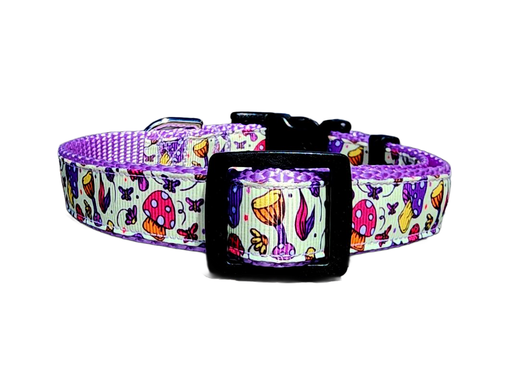 3/4" Purple Mushroom Dog Collar or Leash