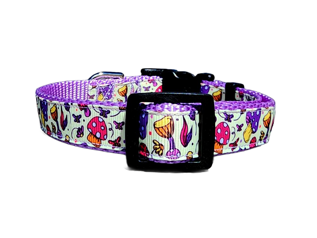 3/4" Purple Mushroom Dog Collar or Leash
