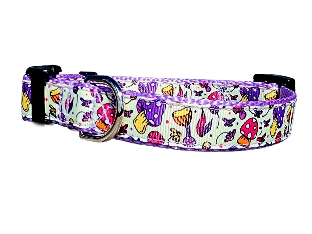 3/4" Purple Mushroom Dog Collar or Leash