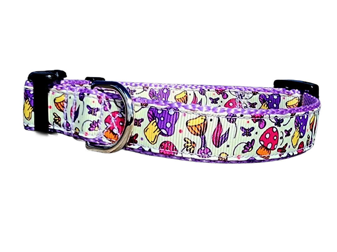 3/4" Purple Mushroom Dog Collar or Leash