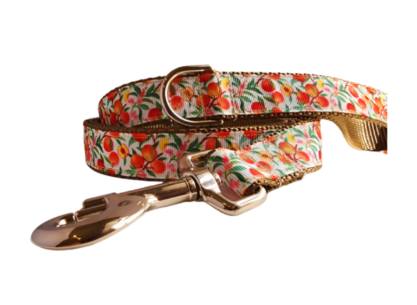 3/4" Peach Dog Collar, Leash, Martingale, or Harness image 1