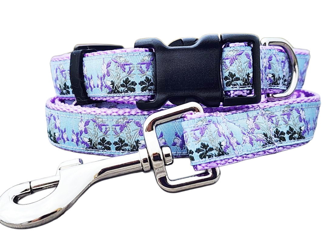 3/4" Columbine Dog Collar or Leash