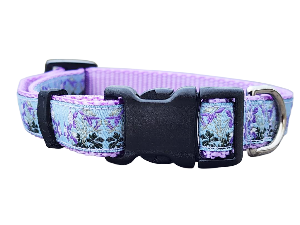 3/4" Columbine Dog Collar or Leash