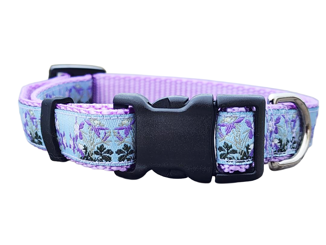 3/4" Columbine Dog Collar or Leash
