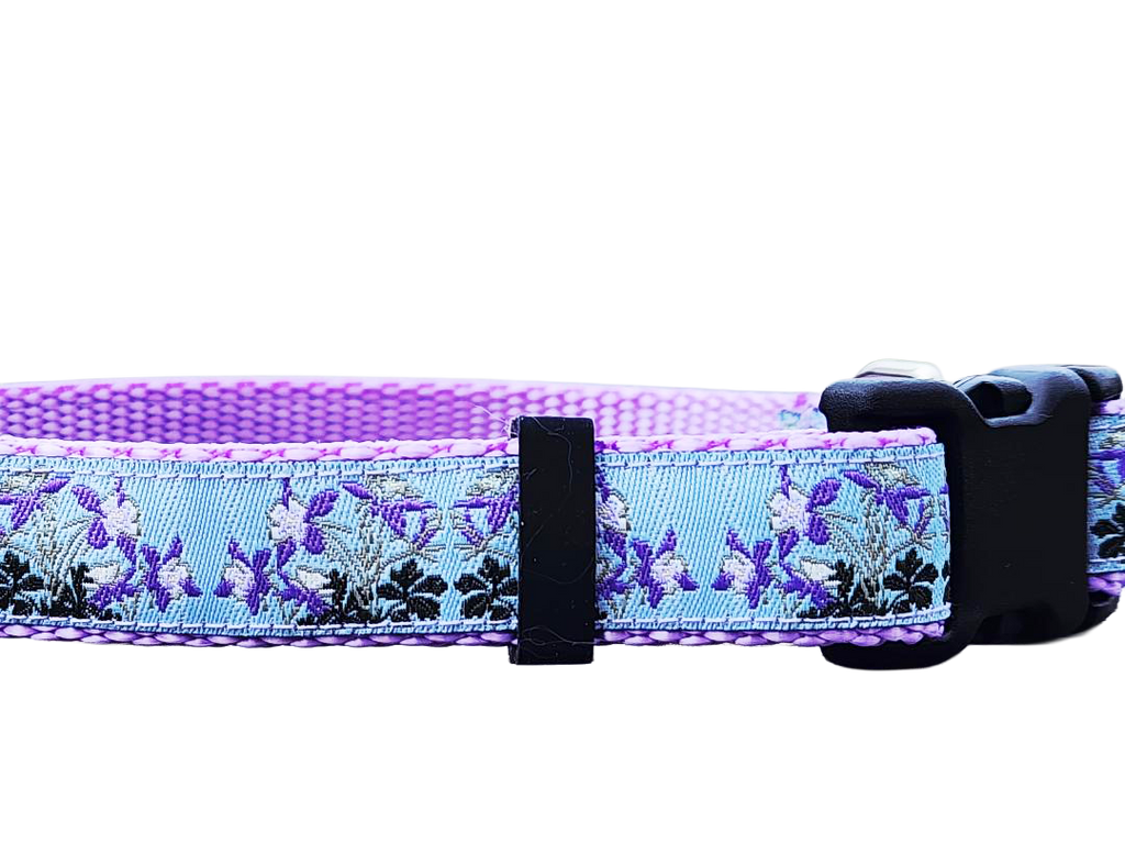 3/4" Columbine Dog Collar or Leash