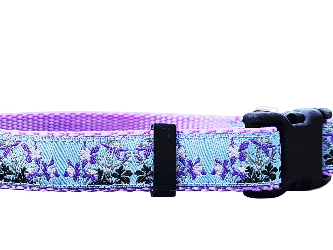 3/4" Columbine Dog Collar or Leash