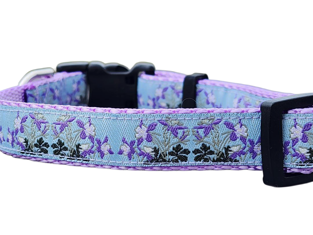 3/4" Columbine Dog Collar or Leash