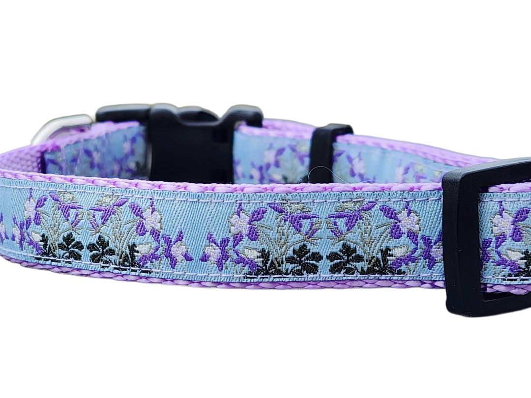 3/4" Columbine Dog Collar or Leash