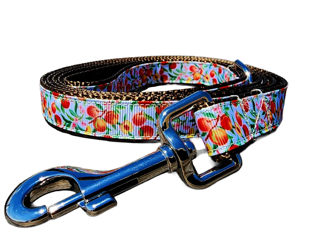 3/4" Peach Dog Collar or Leash