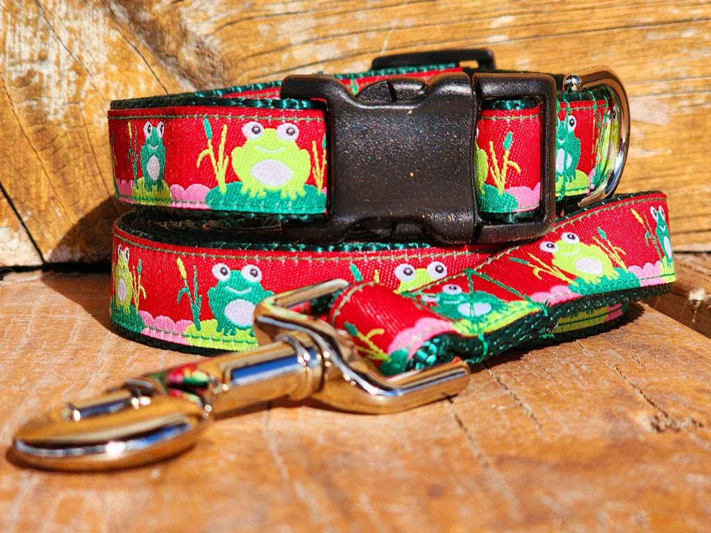 3/4" Frog Spring Dog Collar, Leash, Martingale, or Harness image 0