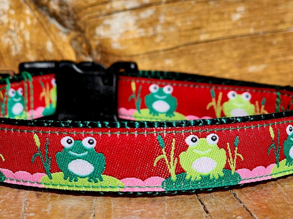 3/4" Frog Spring Dog Collar, Leash, Martingale, or Harness image 4
