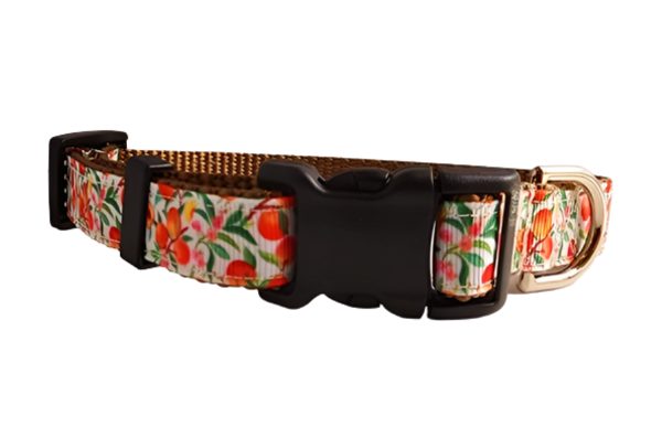 3/4" Peach Dog Collar, Leash, Martingale, or Harness image 2