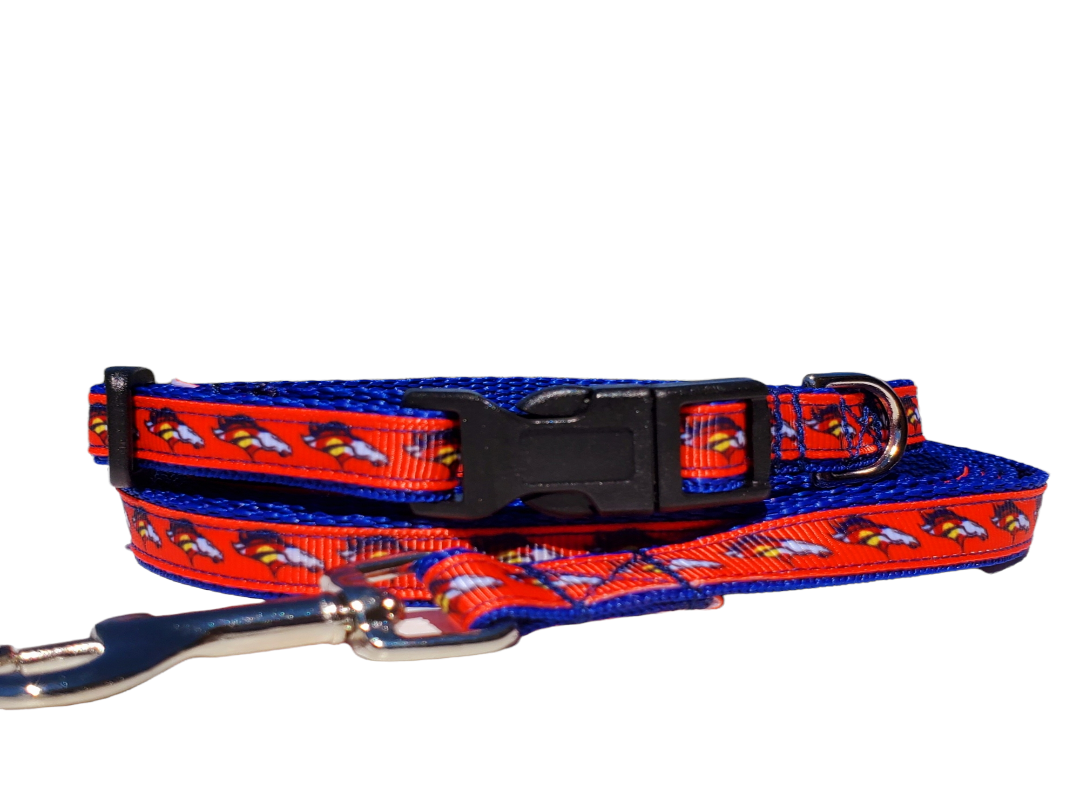 1/2" Denver Broncos Dog Collar, Leash, or Harness image 0