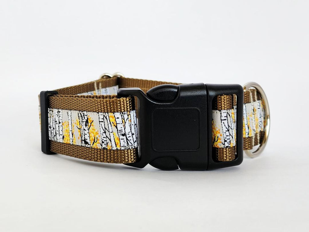 1.5" Aspen Tree Dog Collar image 0