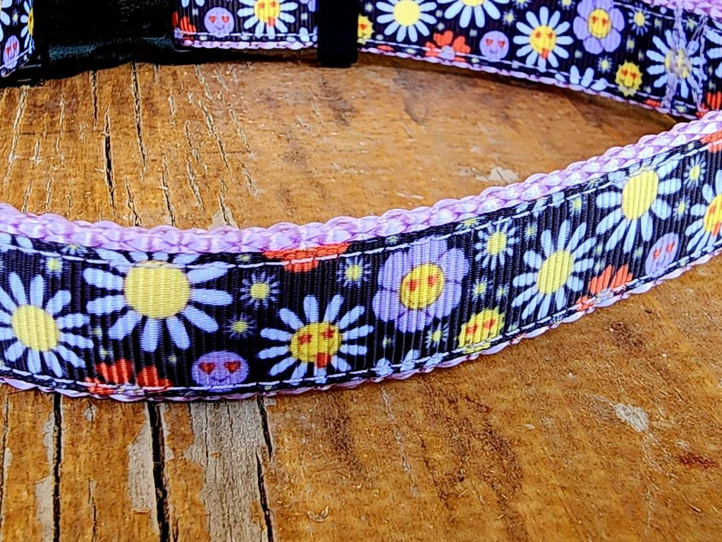 3/4" Hippie Dog Collar, Leash, or Martingale image 3