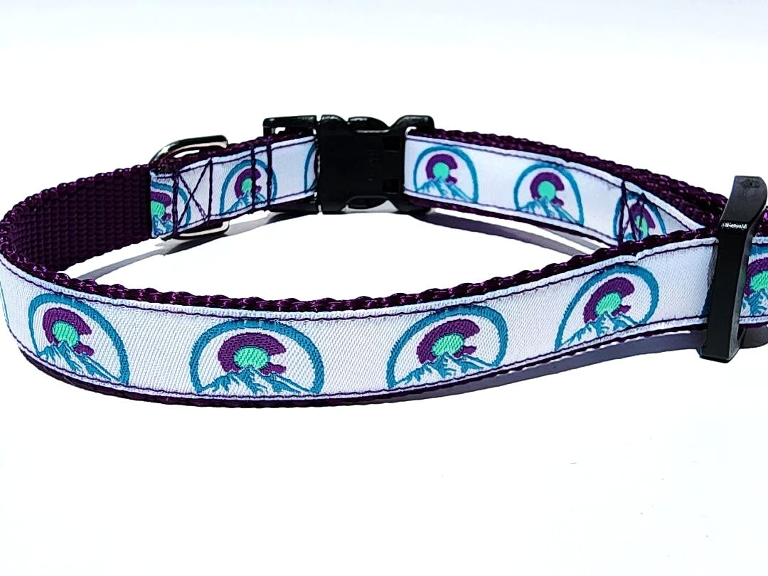 Colorado Purple Dog Collar or Leash image 4