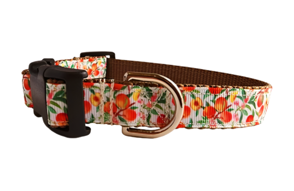 3/4" Peach Dog Collar, Leash, Martingale, or Harness image 3
