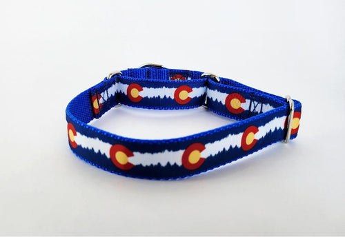 1" Blue Colorado Martingale Dog Collar image 0