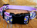 3/4" Hippie Dog Collar, Leash, or Martingale image 1