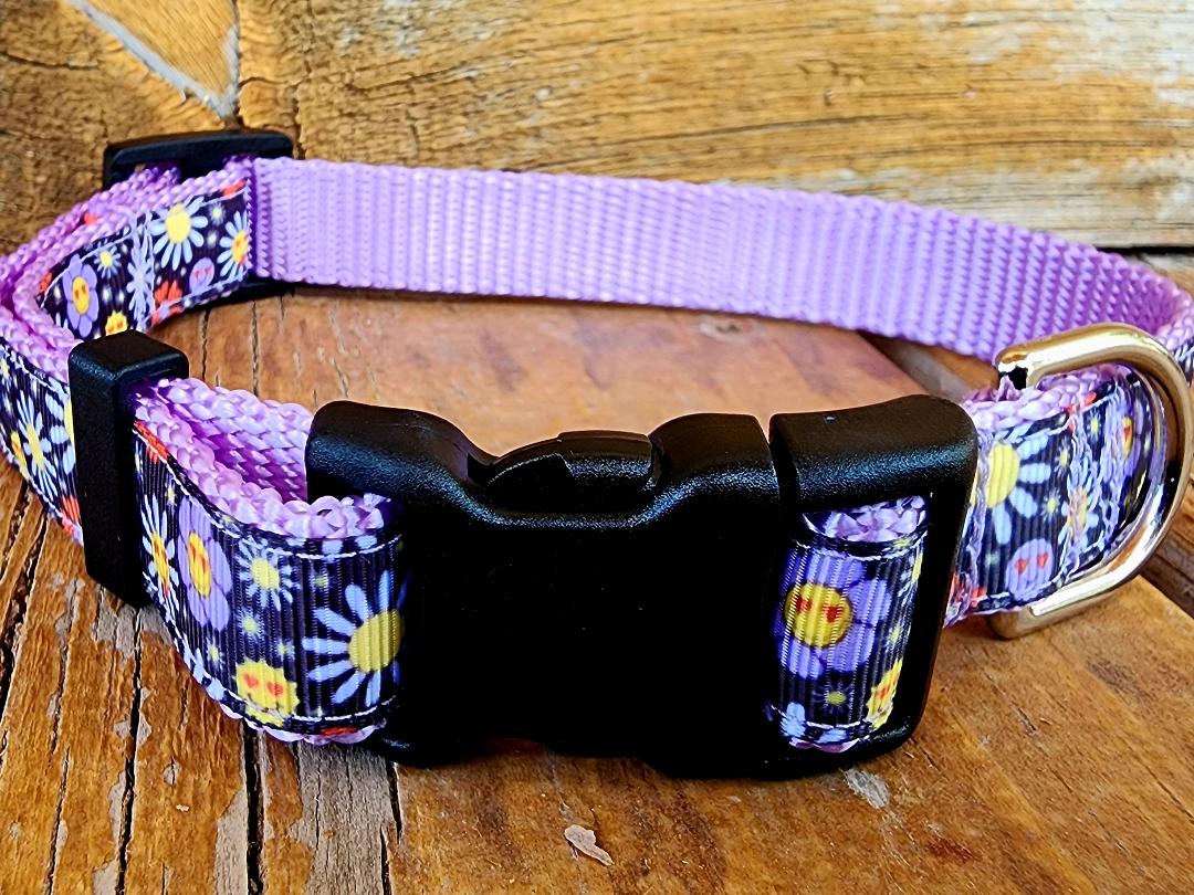 3/4" Hippie Dog Collar, Leash, or Martingale image 1