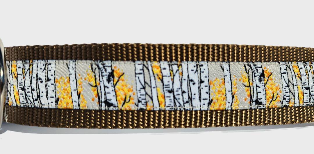 1.5" Aspen Tree Dog Collar image 2