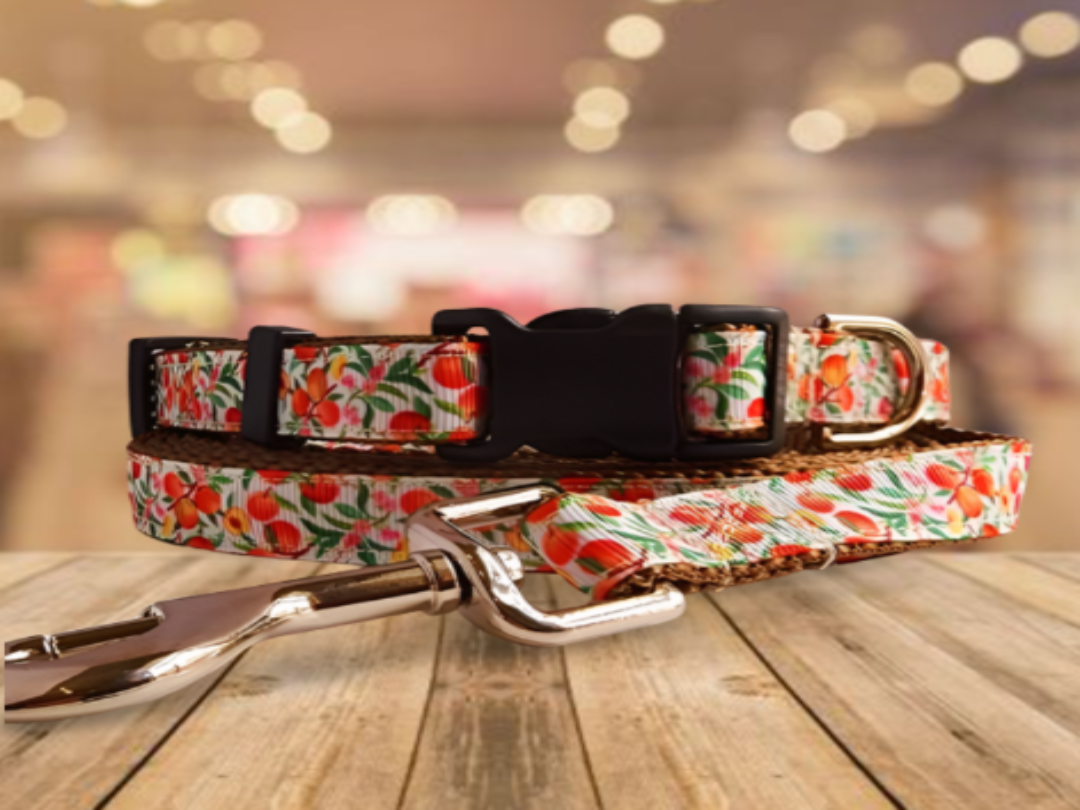 3/4" Peach Dog Collar, Leash, Martingale, or Harness image 0