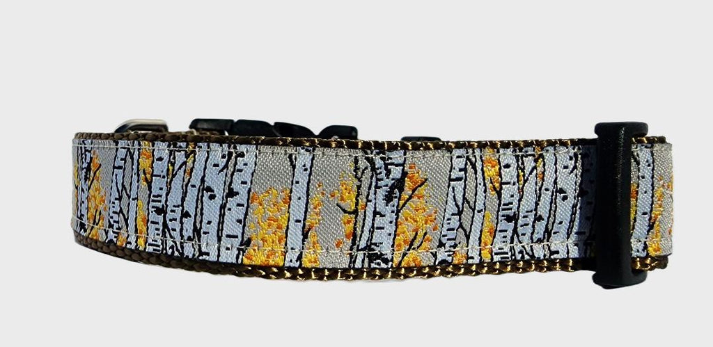 3/4" Aspen Tree Dog Collar image 2