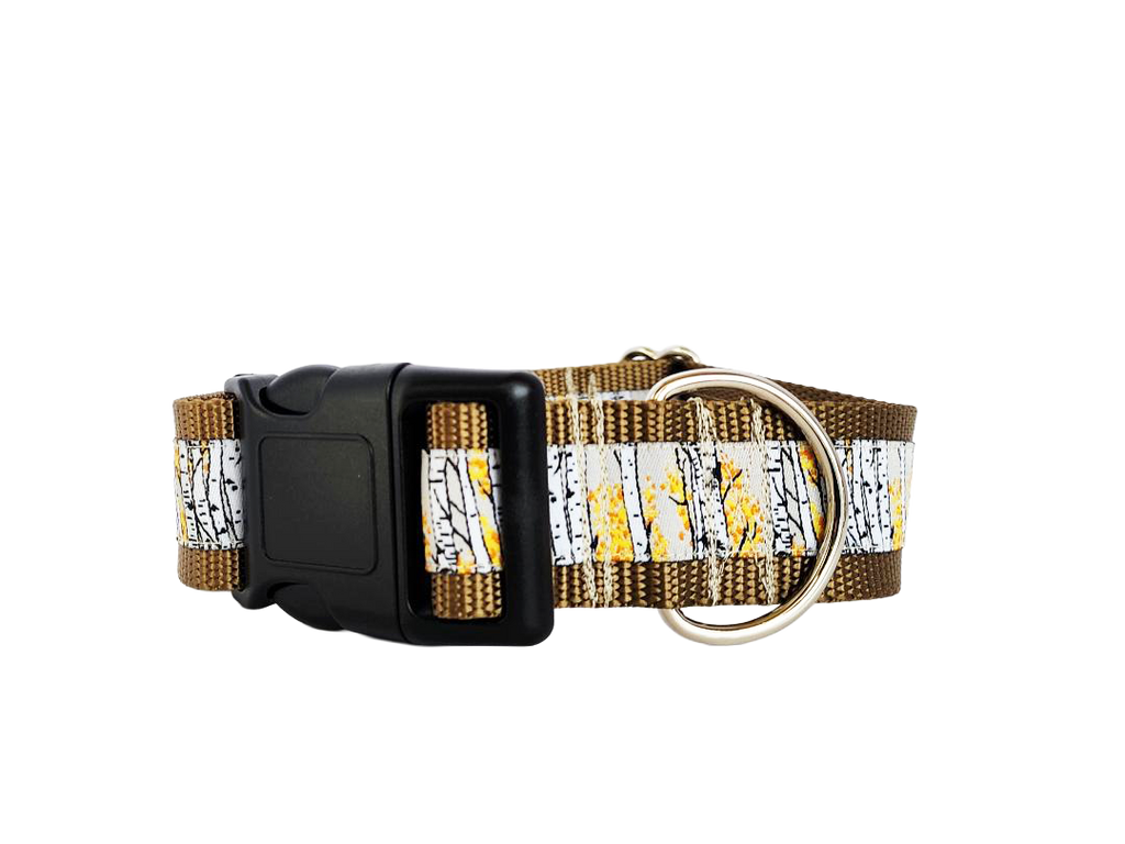 1.5" Aspen Tree Dog Collar