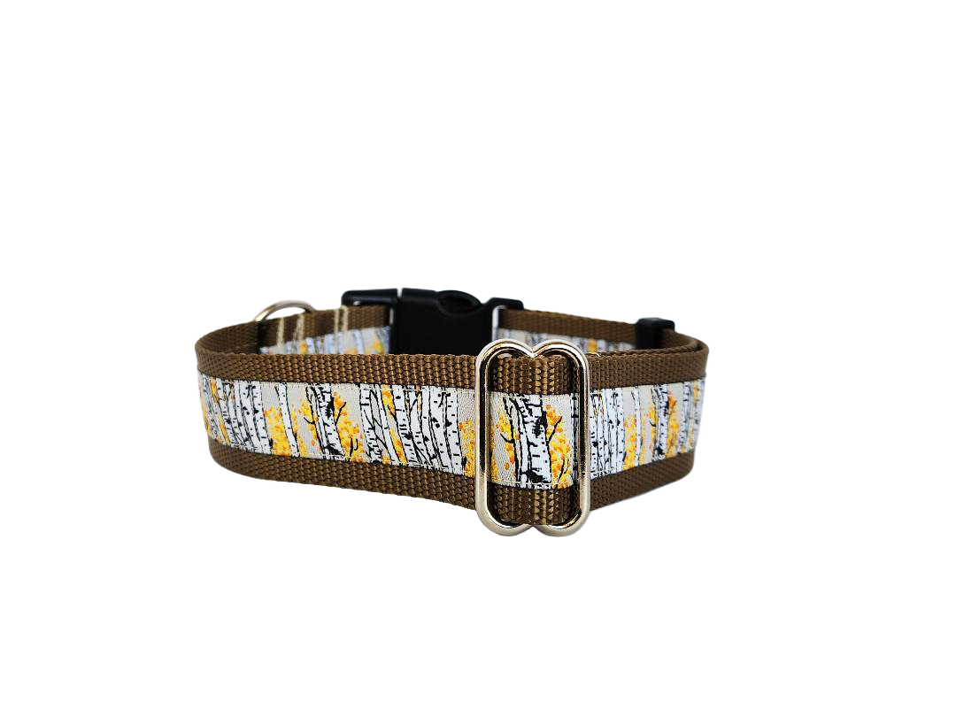 1.5" Aspen Tree Dog Collar