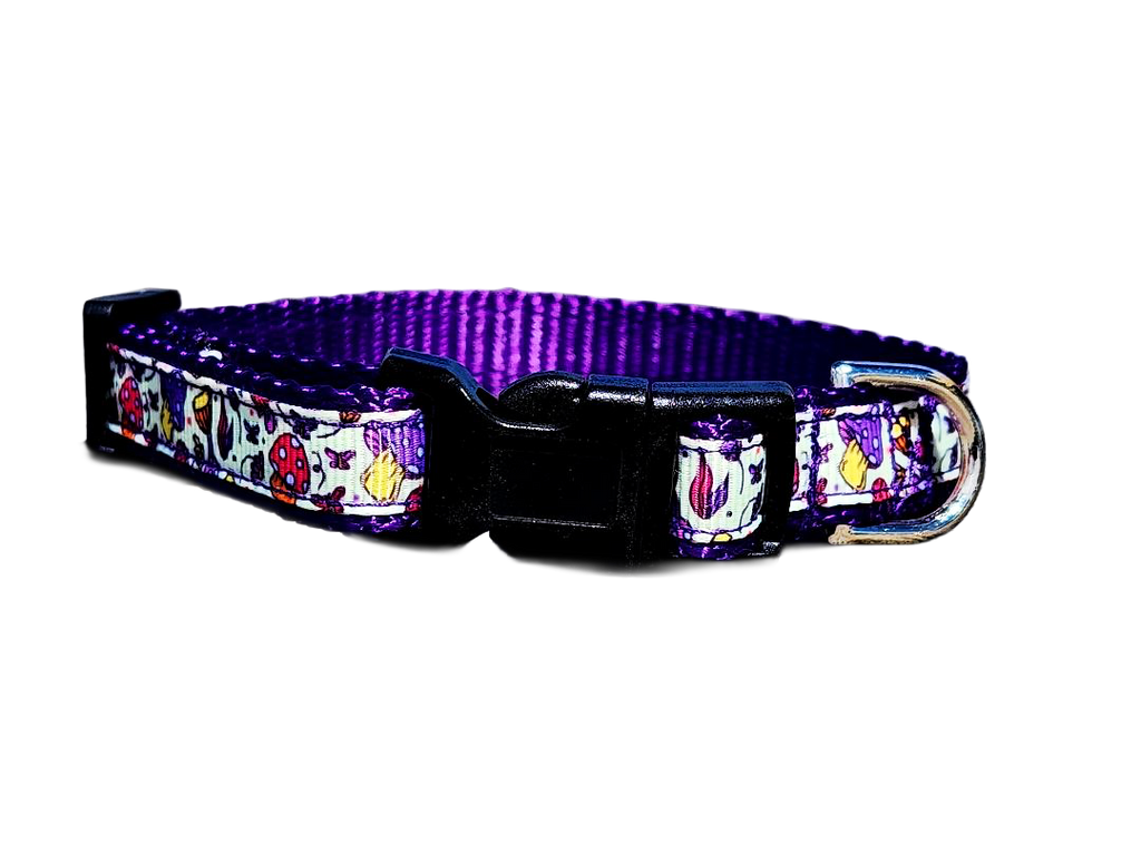 1/2" Purple Mushroom Dog Collar or Leash