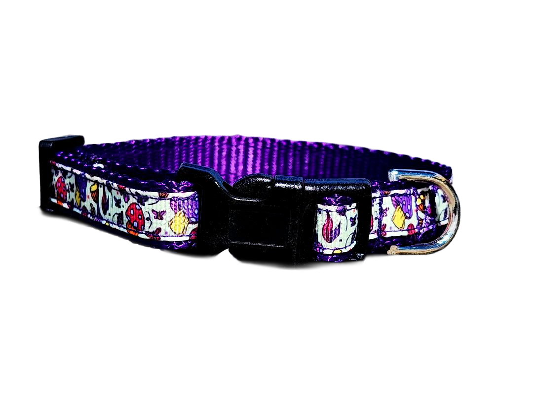 1/2" Purple Mushroom Dog Collar or Leash