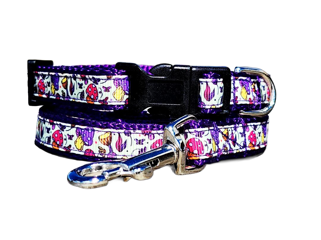 1/2" Purple Mushroom Dog Collar or Leash