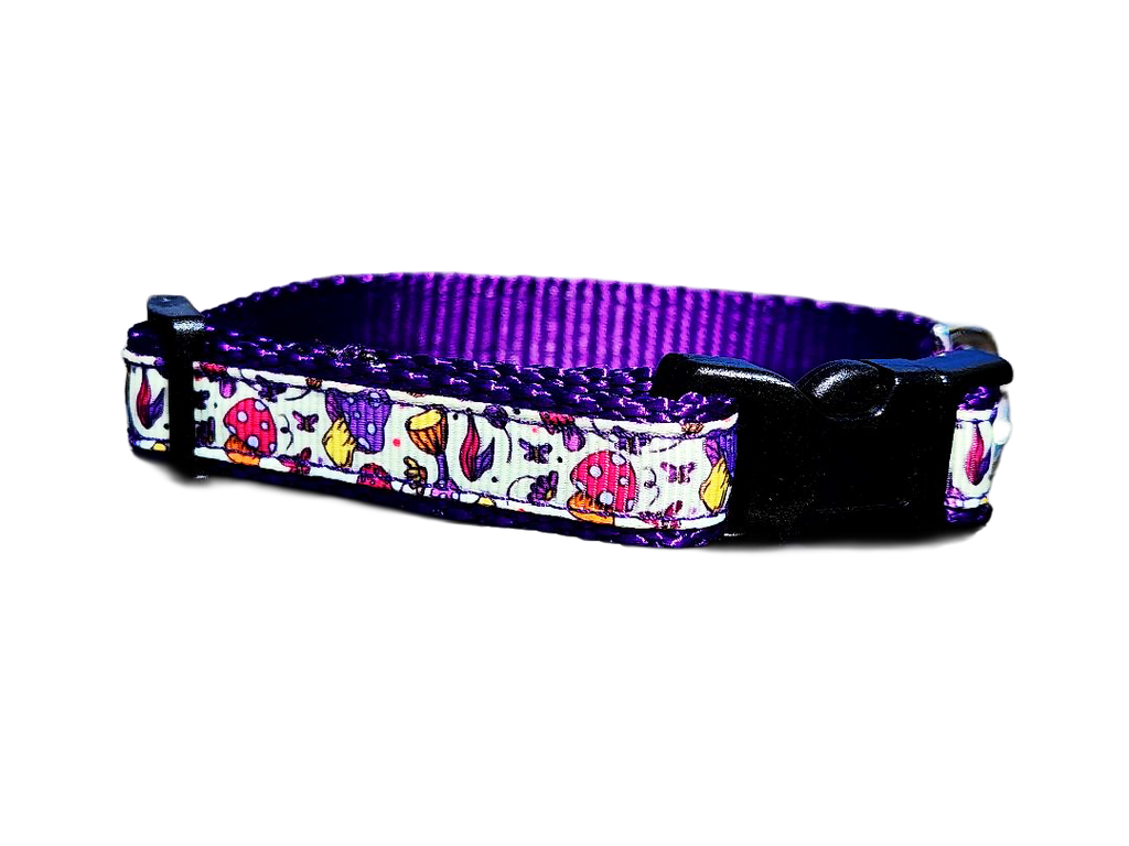 1/2" Purple Mushroom Dog Collar or Leash