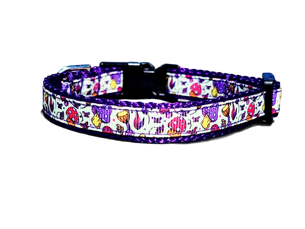 1/2" Purple Mushroom Dog Collar or Leash