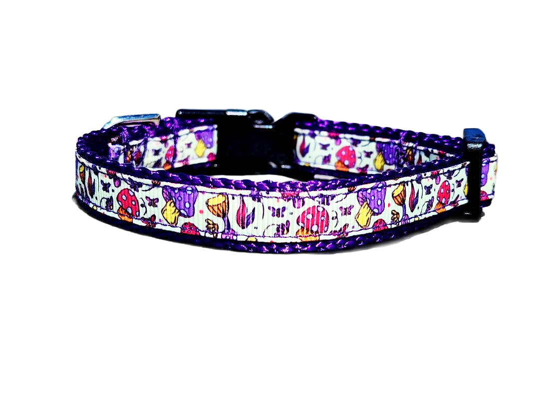 1/2" Purple Mushroom Dog Collar or Leash