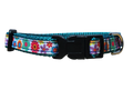 1/2" Teal Floral Dog Collar or Leash