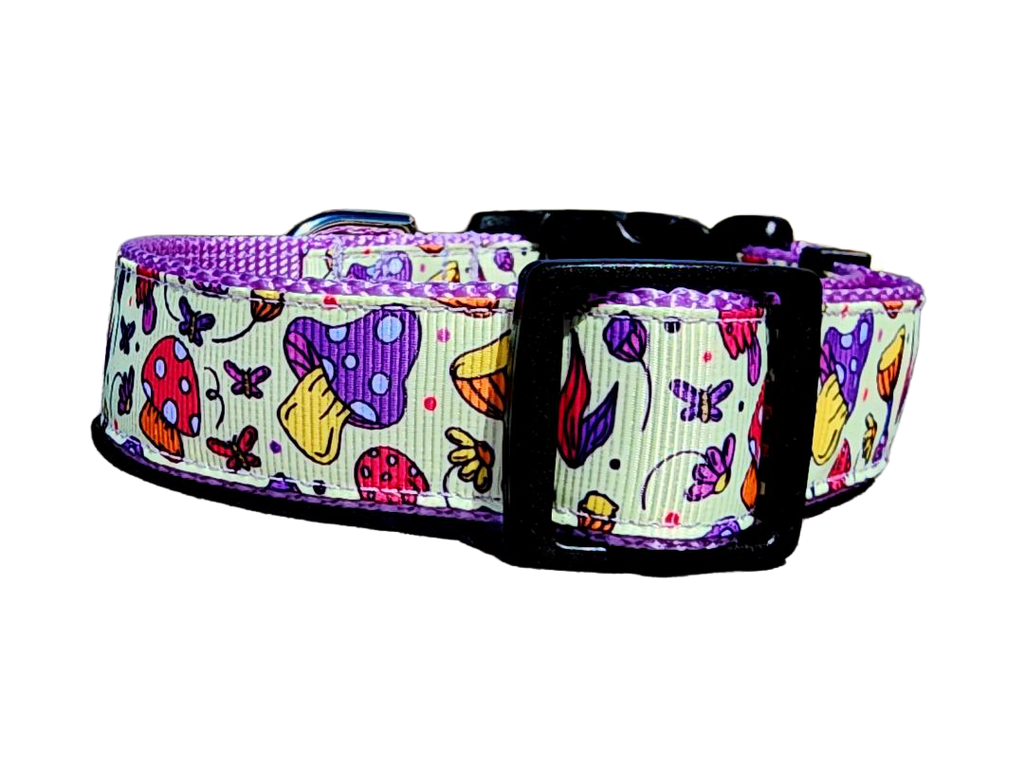 1" Purple Mushroom Dog Collar or Leash